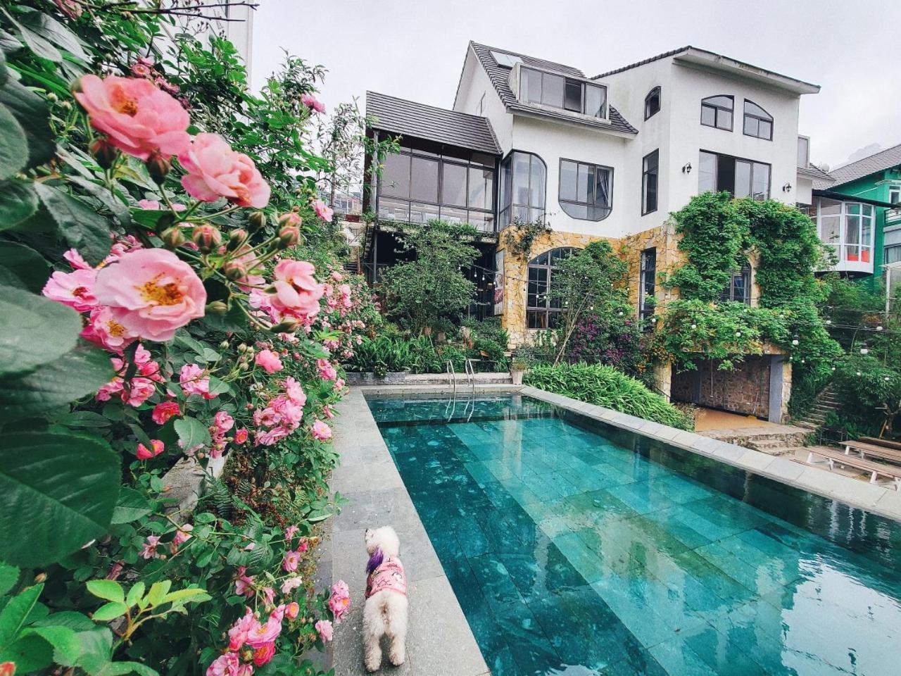Le vent Tam Đảo homestay Luaran gambar